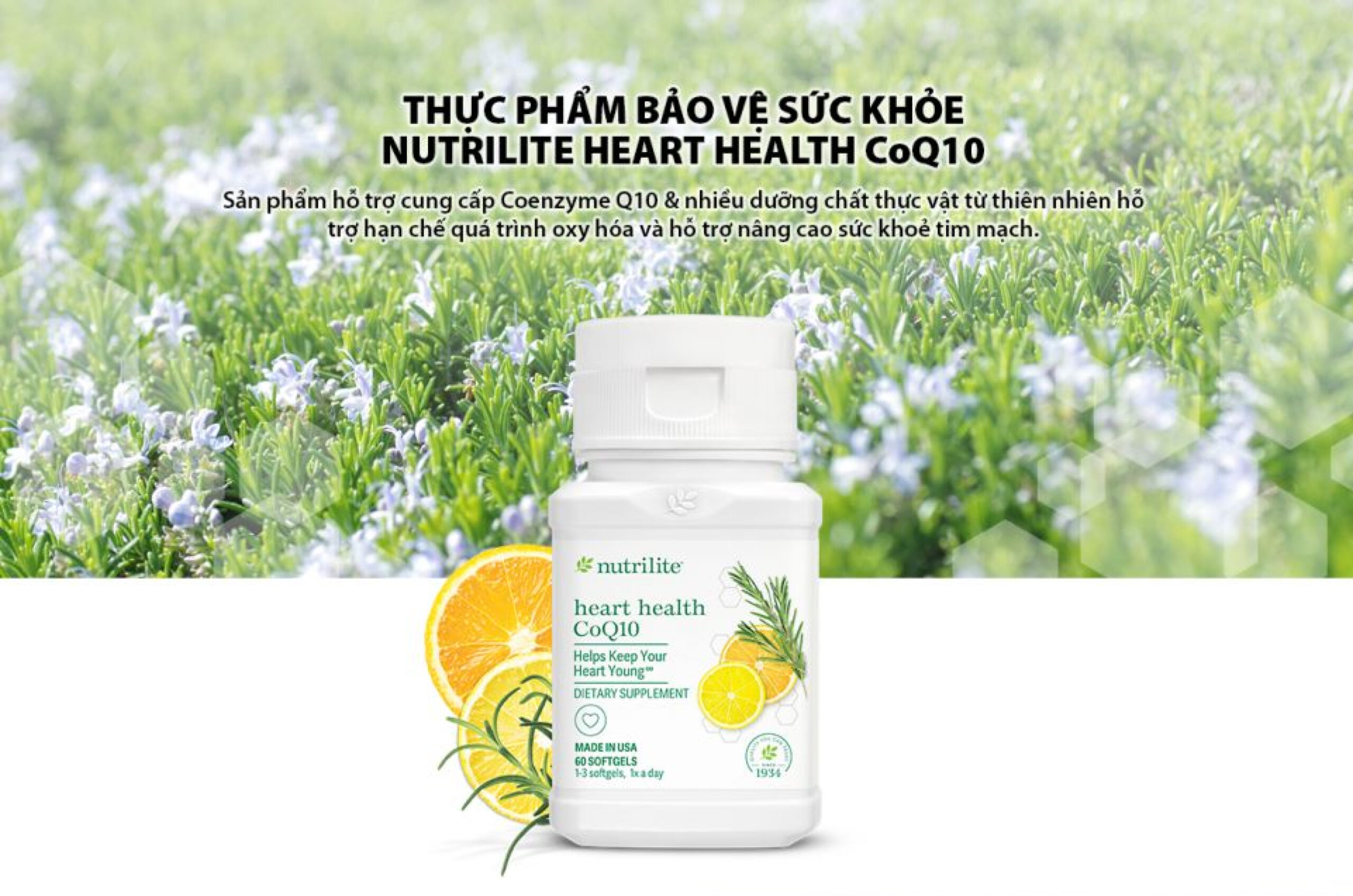 Thuc pham bao ve suc khoe Nutrilite Heart Health CoQ10 ho tro tim mach.